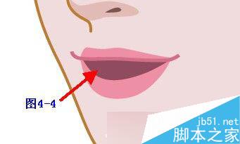 Illustrator鼠繪教程：插畫人物系列之清純美女的繪制_中國教程網(wǎng)