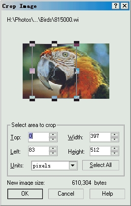 CorelDRAW 导入时Crop（修剪）位图 CorelDraw入门教程