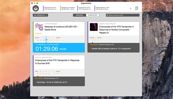 Findings for Mac V1.3.1 蘋果電腦版