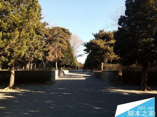 150650pcp85r68lp8i5xix.jpg.thumb.jpg