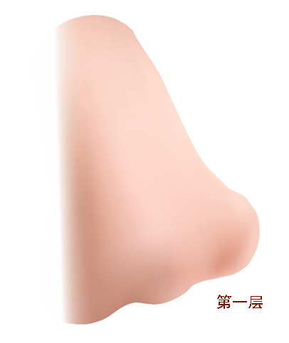 AI教程 AI漸變網(wǎng)格打造美女精致五官 腳本之家 AI實例教程