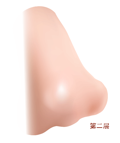 AI教程 AI漸變網(wǎng)格打造美女精致五官 腳本之家 AI實例教程