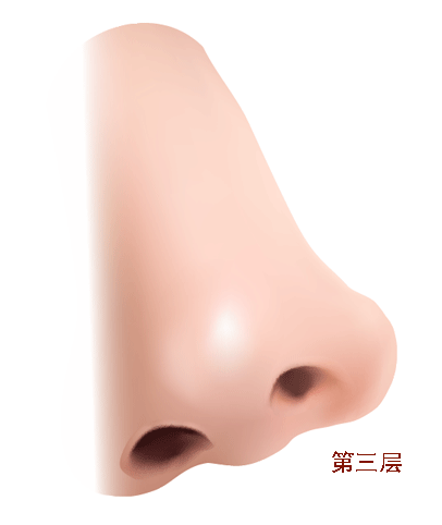 AI教程 AI漸變網(wǎng)格打造美女精致五官 腳本之家 AI實例教程
