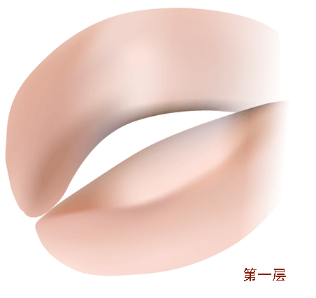 AI教程 AI漸變網(wǎng)格打造美女精致五官 腳本之家 AI實例教程