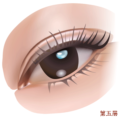 AI教程 AI漸變網(wǎng)格打造美女精致五官 腳本之家 AI實例教程