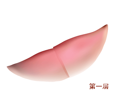 AI教程 AI漸變網(wǎng)格打造美女精致五官 腳本之家 AI實例教程
