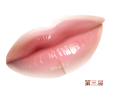 AI教程 AI漸變網(wǎng)格打造美女精致五官 腳本之家 AI實例教程