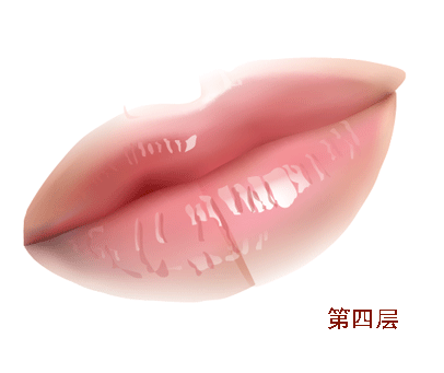 AI教程 AI漸變網(wǎng)格打造美女精致五官 腳本之家 AI實例教程