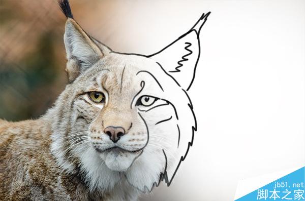 你不能成为好画师的七宗罪 设计理论