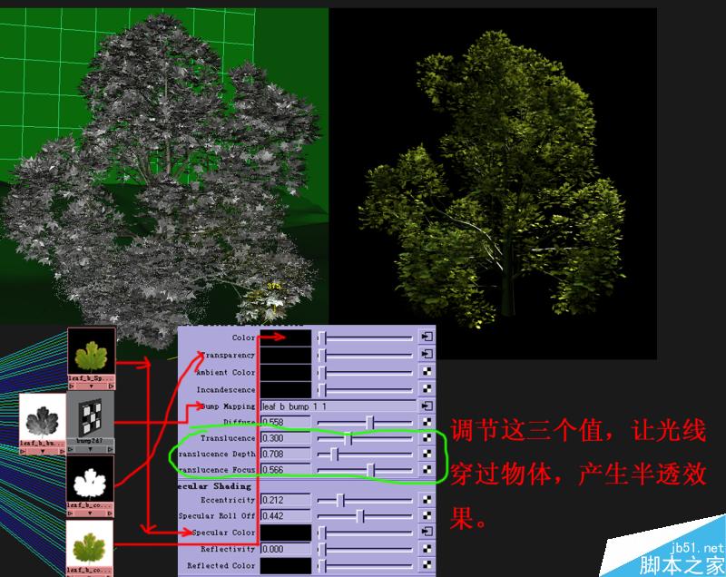 Maya打造真實熱帶雨林 腳本之家 MAYA材質燈光
