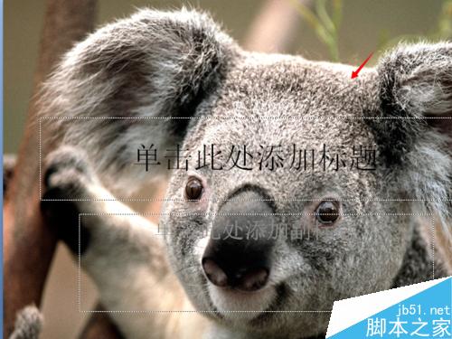 ppt設(shè)置背景及紋理