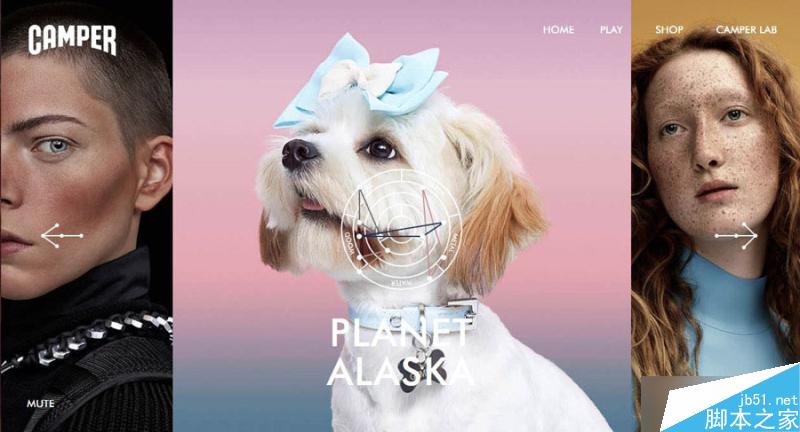 2016网页设计的十一个流行趋势 设计理论camper