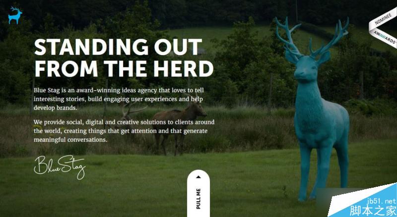 2016网页设计的十一个流行趋势 设计理论bluestag