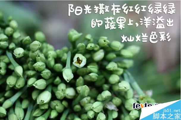 饱含情感的汉仪手写字体推荐 设计理论