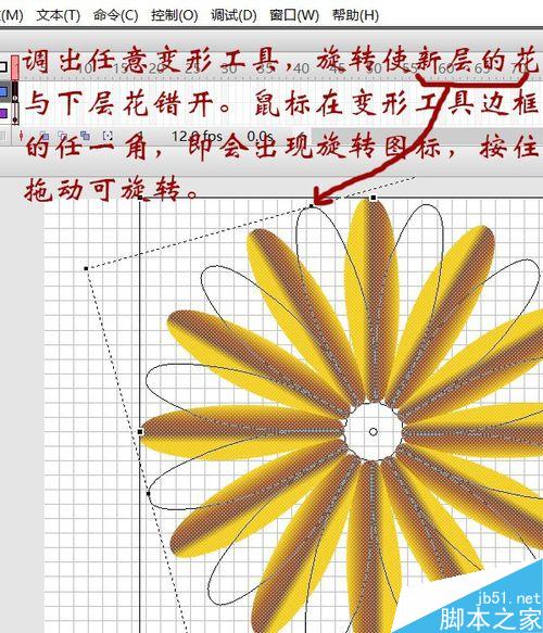 用flash繪制一朵花