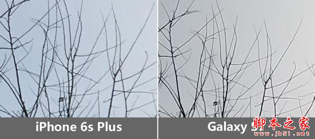 把握每個(gè)像素 三星S7/iPhone6sP拍照對(duì)比 