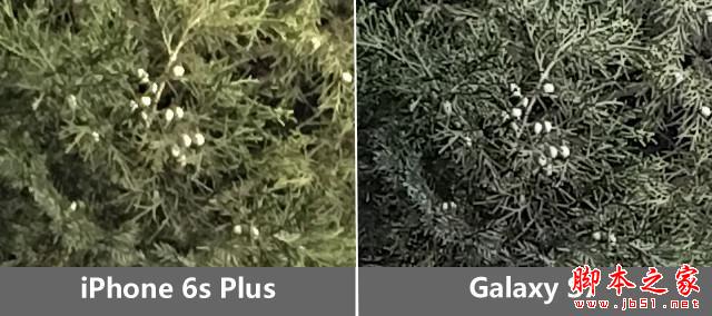 把握每個(gè)像素 三星S7/iPhone6sP拍照對(duì)比 