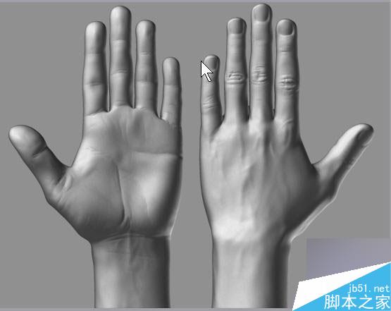 Maya結(jié)合Zbrush共創(chuàng)高精度手掌模型 腳本之家 MAYA建模教程