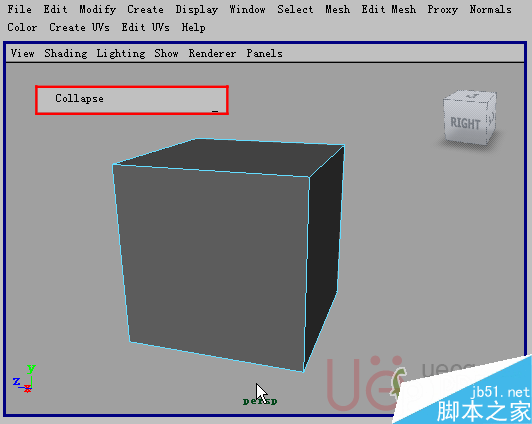 MAYA Polygons建模Edit Mesh命令集詳解解釋 腳本之家 MAYA建模教程46-collapse.gif