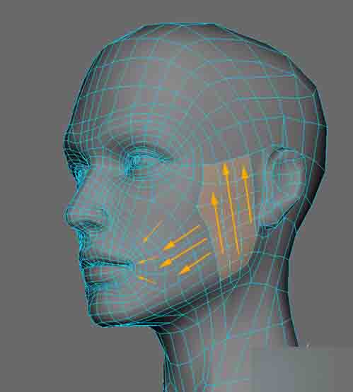 maya制作合理且足够的人头布线