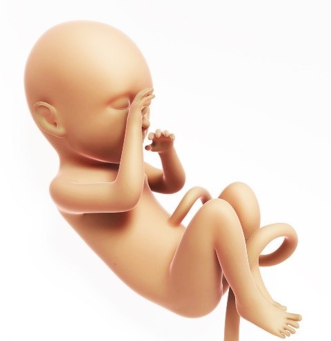 QQ音乐母亲节主题UI设计 设计理论