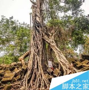 怎樣拍出具有文藝范兒的旅游照
