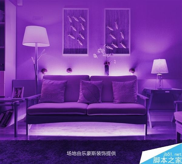 小米Yeelight彩光灯带发布：169元/60颗灯泡