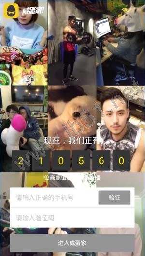 咸蛋家怎么玩？咸蛋家怎么用？[多圖]圖片1