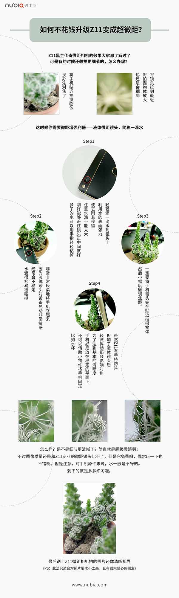 怎么樣用nuba Z11黑金版拍攝超級(jí)微距照片？