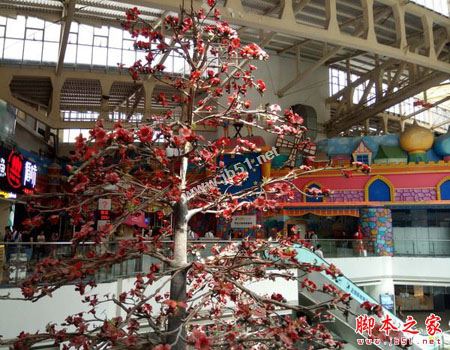 TCL 580手机怎么样 TCL580全面图文详细评测