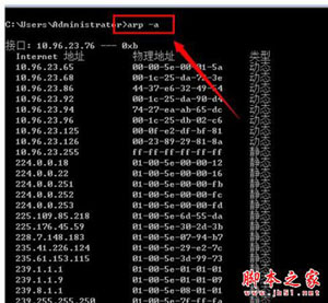 arp地址数据