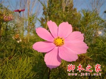 紅米4和紅米4a哪個更值得買？紅米4a和紅米4全面區(qū)別對比詳細評測圖解