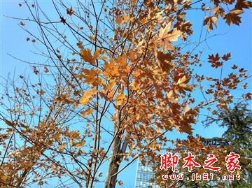 紅米4和紅米4a哪個更值得買？紅米4a和紅米4全面區(qū)別對比詳細評測圖解