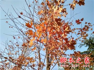 紅米4和紅米4a哪個更值得買？紅米4a和紅米4全面區(qū)別對比詳細評測圖解