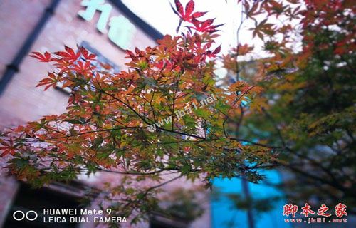 華為Mate9保時(shí)捷版值得買嗎？華為Mate9保時(shí)捷版全面深度評測圖解