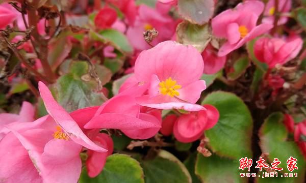 努比亞Z17mini值得買嗎？努比亞nubiaZ17mini手機全面深度評測圖解