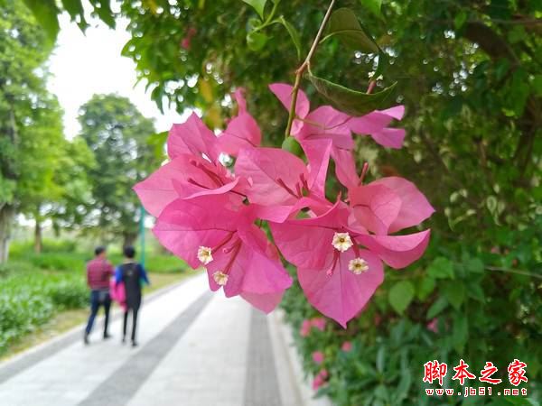 華碩鷹眼3值得買嗎？華碩鷹眼3全面深度評(píng)測(cè)圖解