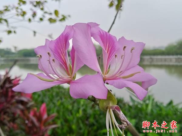 華碩鷹眼3值得買嗎？華碩鷹眼3全面深度評(píng)測(cè)圖解