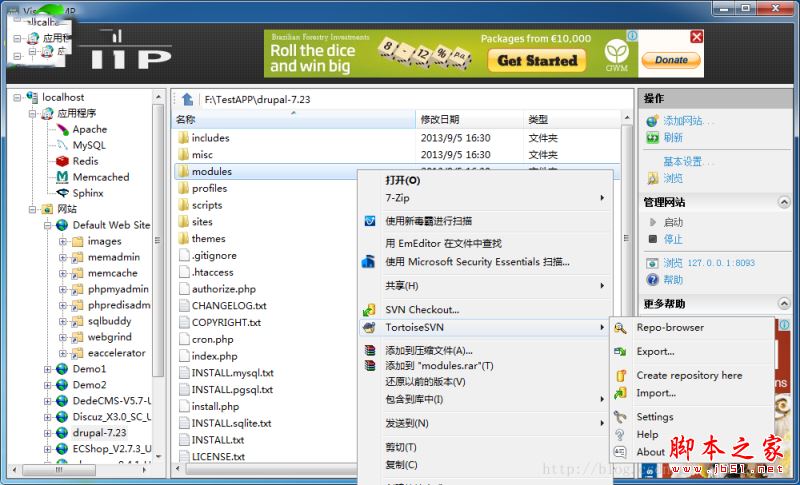 Visual AMP(一键php环境搭建工具)