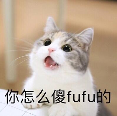 你怎么傻fufu的猫咪表情包部分预览