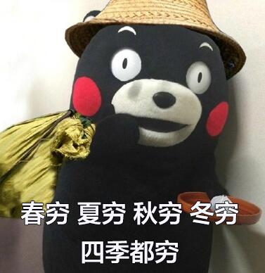 熊本熊表情包下载 熊本熊春夏秋冬表情包6枚高清版 版