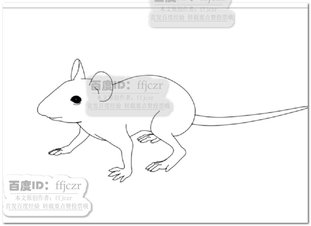 c4d三维老鼠模型怎么快速转换成二维线稿图?