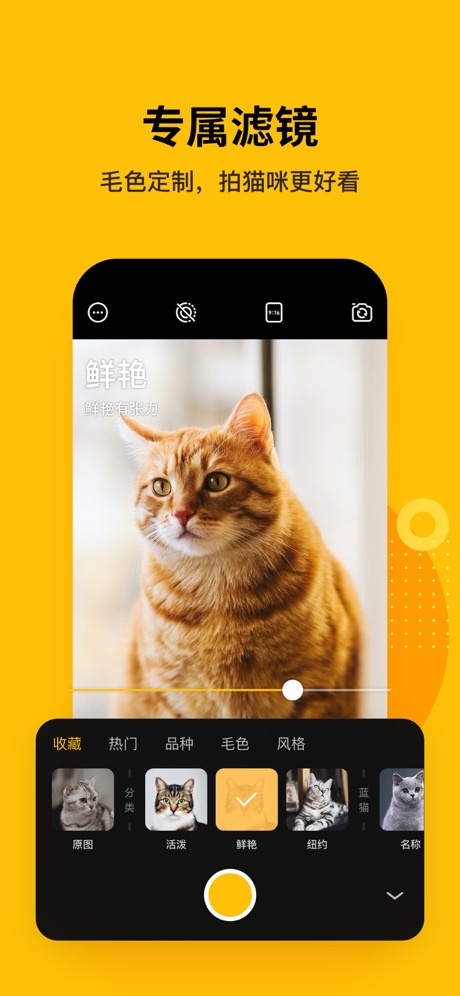 爪叽app下载 爪叽相机(猫咪拍照APP) for Android v2.8 安卓手机版 下载--六神源码网