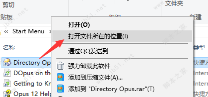 Directory Opus Pro下载