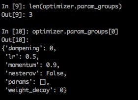 optimizer.param_groups