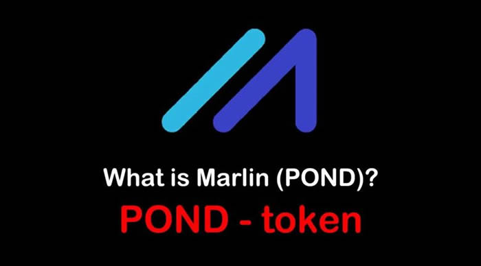 POND是什么币种?POND币前景和价值深度分析