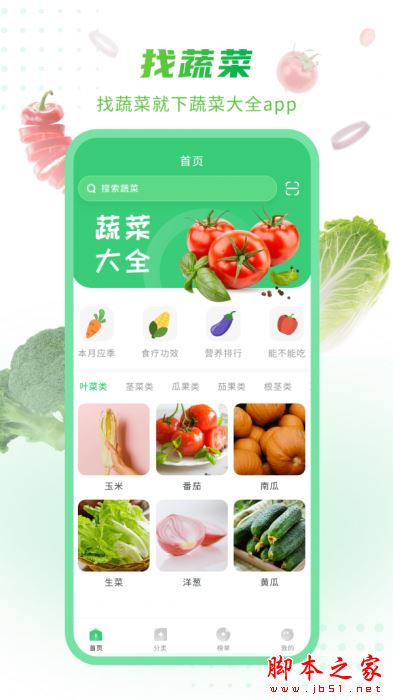 有机蔬菜大全APP下载 有机蔬菜大全 for Android V1.0.3 安卓手机版 下载--六神源码网