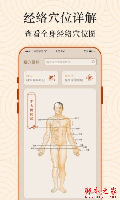 经络图解app下载 经络图解 for Android V1.0 安卓手机版 下载--六神源码网