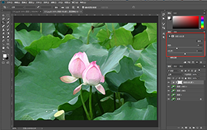 Photoshop制作水彩主題風(fēng)格的荷花圖