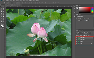 Photoshop制作水彩主題風(fēng)格的荷花圖